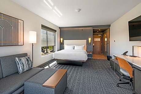 Standard King, Guest room, 1 King, Sofa bed