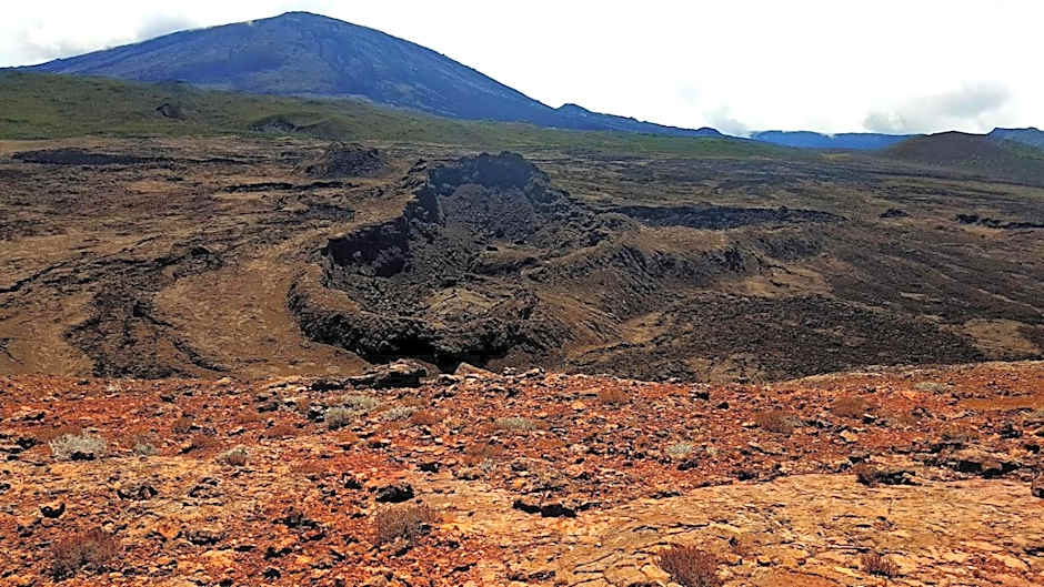 La Maison des Hôtes