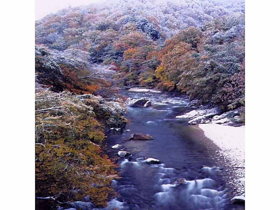 Oyasukyo Onsen Ryokan Tarobee - Vacation STAY 56764v