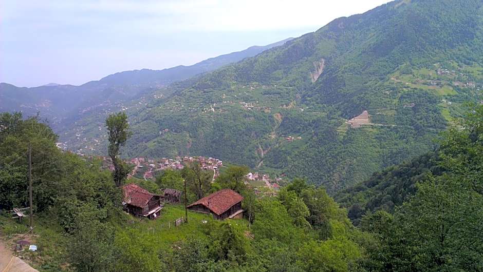 Ataköy Otel Cafe Restaurant