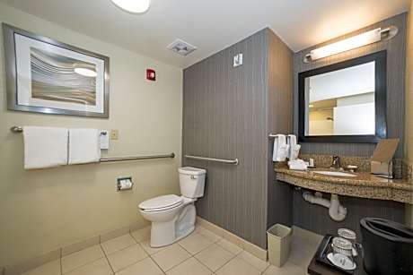 Room, 1 King Bed with Sofa bed (1 King Bed and 1 Double Sofa Bed)