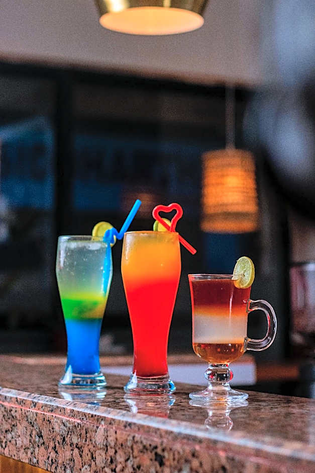 Hotel Ananda Inn
