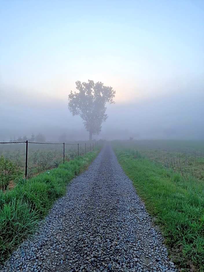 Gospodarstwo Agroturystyczne Borówkowy Bukiet Smaków