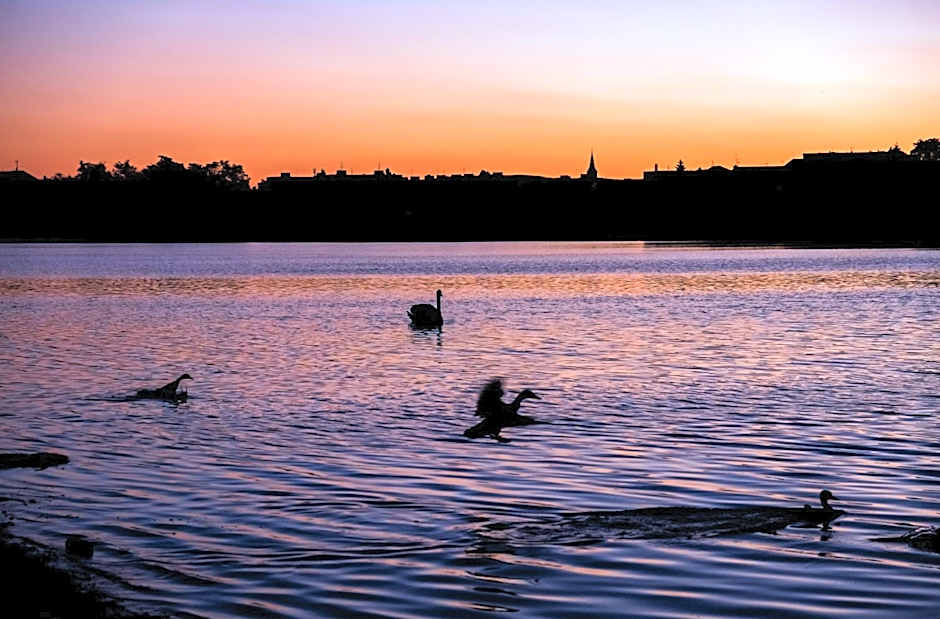 Hotel Dolphin - Adult friendly