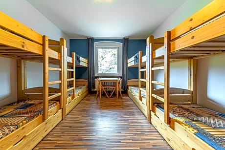 Bunk Bed in Mixed Dormitory Room