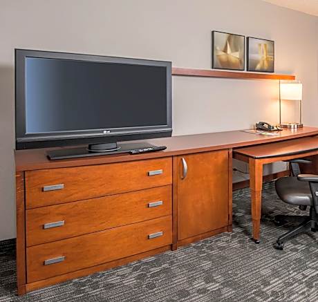 Room, 1 King Bed