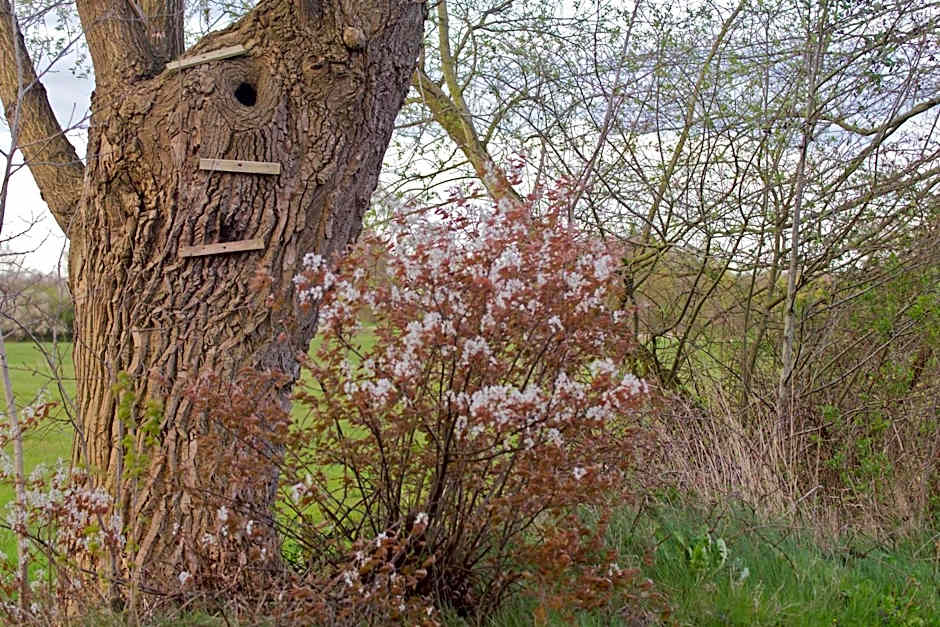 Cuisinerie Mensinge With Dreams