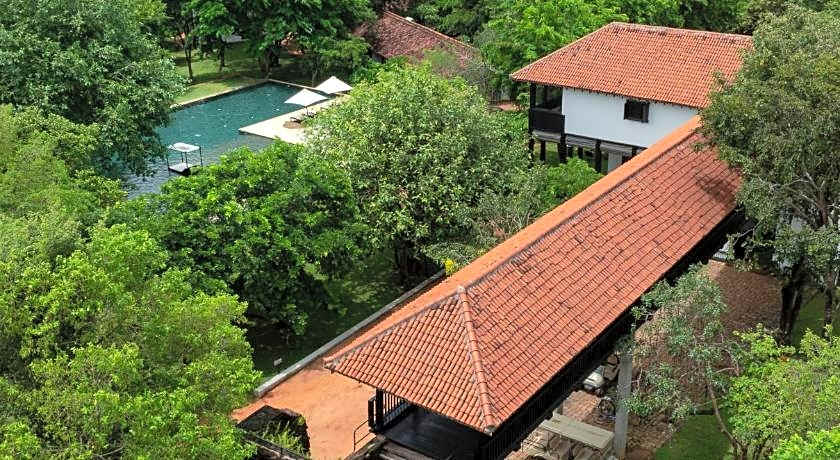 Sigiriya Jungles