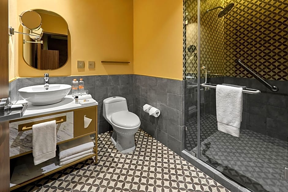 City Centro by Marriott San Luis Potosi
