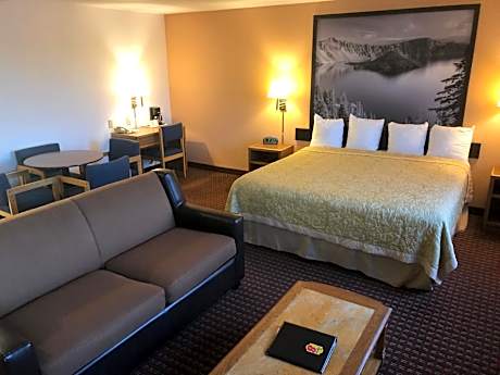 1 King Bed Studio Suite Non-Smoking