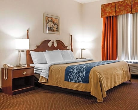 1 King Bed, Nonsmoking