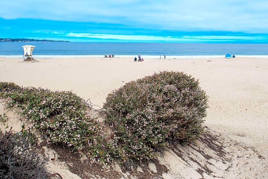 Hampton Inn By Hilton Monterey