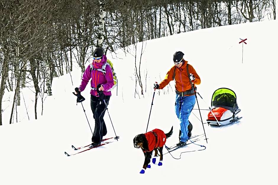 Eriksgårdens Fjällhotell