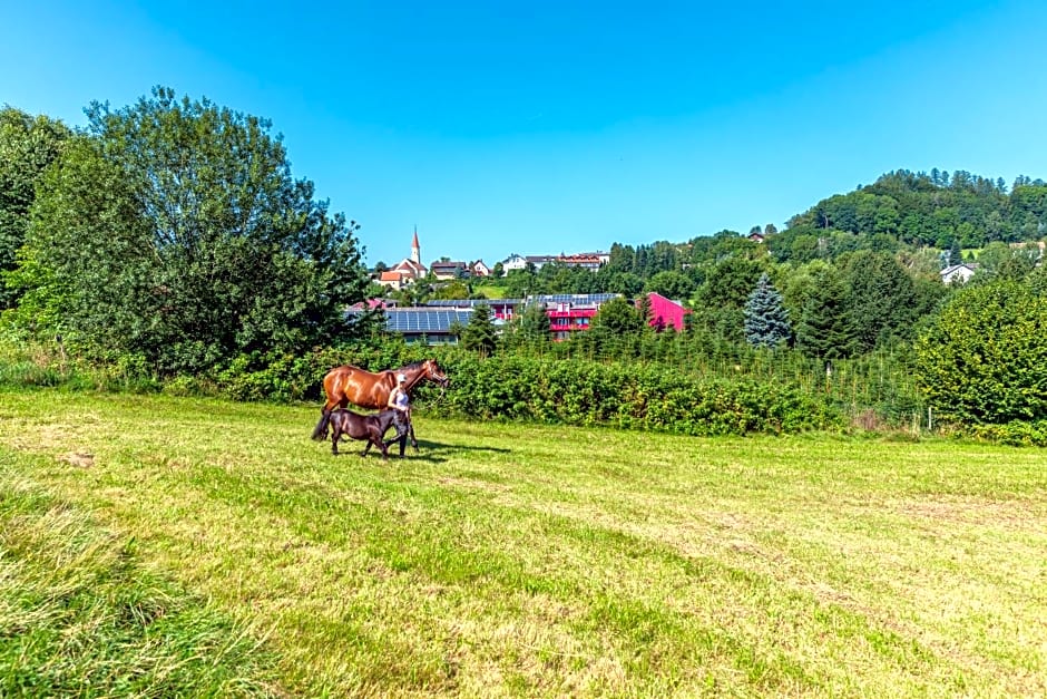 Familienhotel Reiterhof Runding