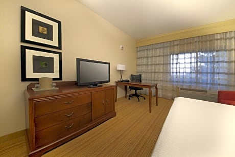Suite, 1 Bedroom (1 King Bed and 1 Double Sofa Bed)