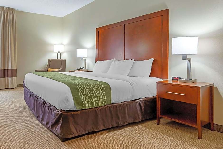 Comfort Inn & Suites Lenoir Hwy 321 Northern Foothills