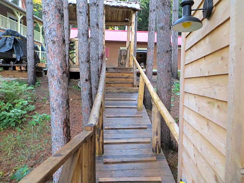 La maison sous les arbres