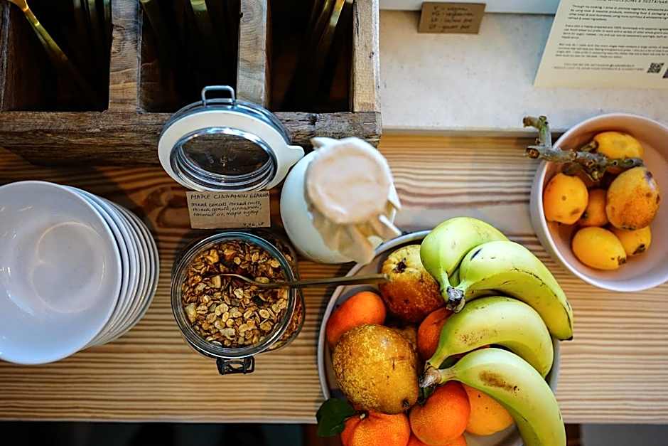 Birds of Paradise - Boutique Surf Lodge