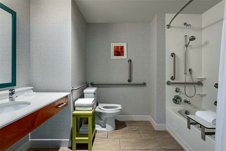 Hampton Inn - Suites by Hilton Tampa Busch Gardens Area