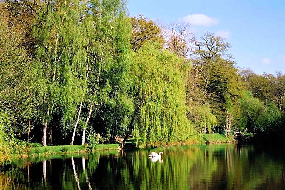 Cit'Hôtel le Relais Boisniard