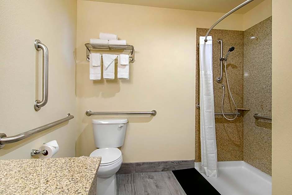 Econo Lodge Inn & Suites Springfield Main Street