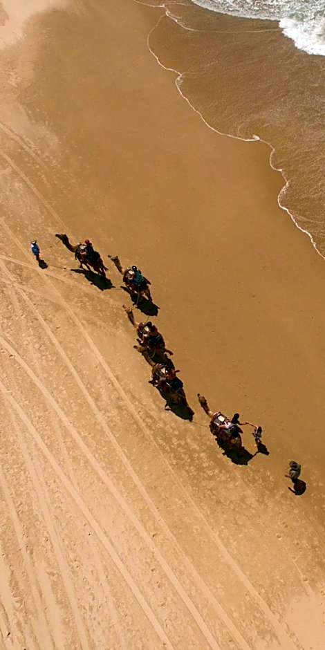 Ozzie Pozzie Backpackers