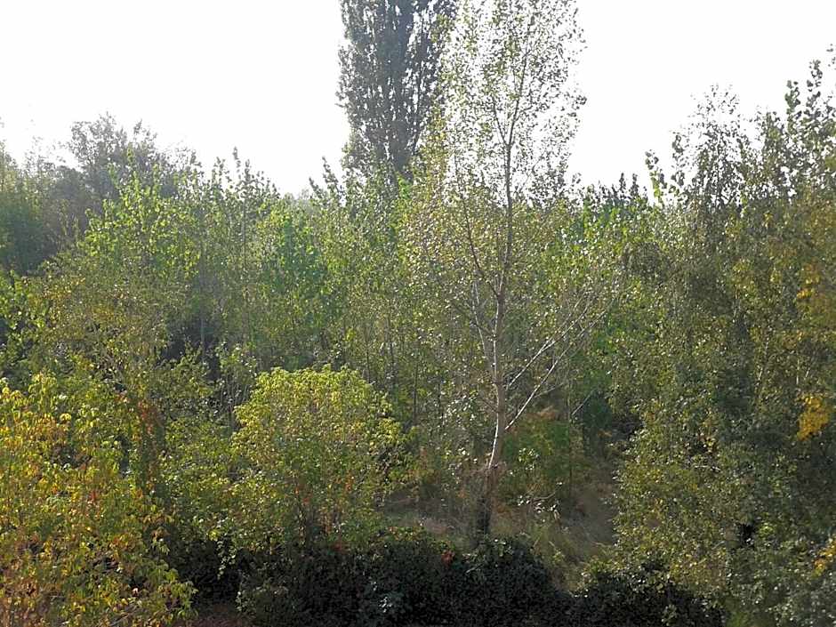 Bed Breakfast Hotel Budapest