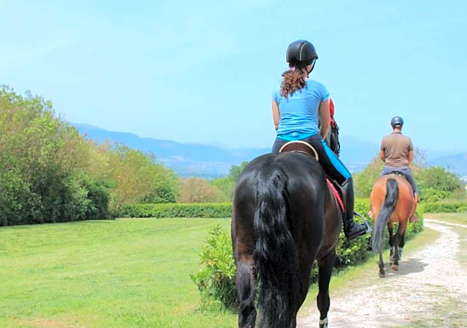 Alba Sporting Hotel