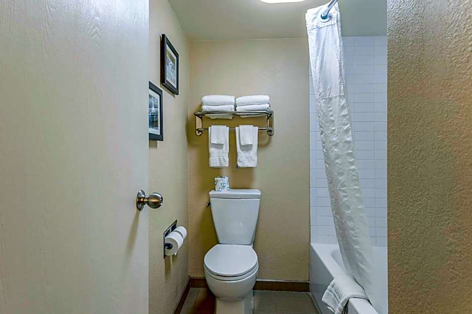 Comfort Inn & Suites Little Rock Airport