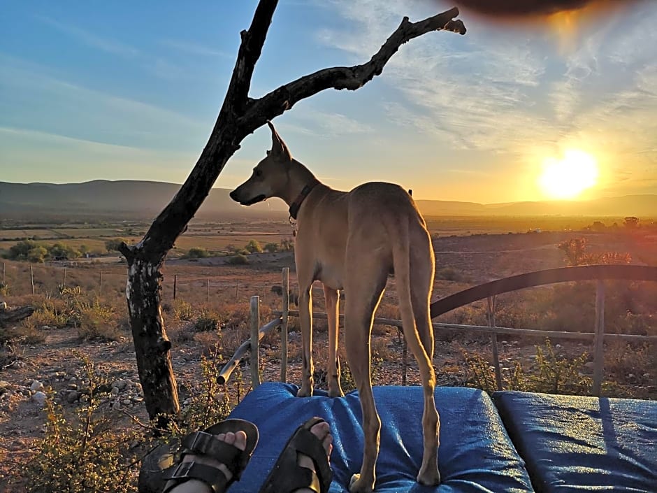 Amber Lagoon Eco Retreat - Chalets, Rooms and Glamping