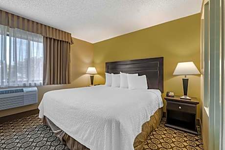 Deluxe King Room with Sofa Bed