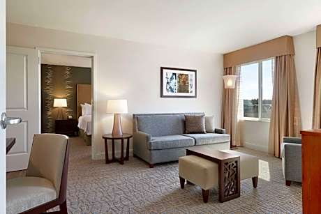 1 King or 2 Queen Hearing Accessible Suite Non-Smoking