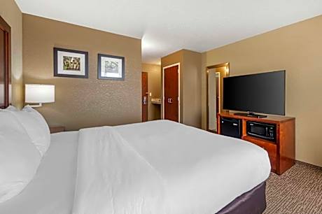 King Room - Non-Smoking/Pet Friendly