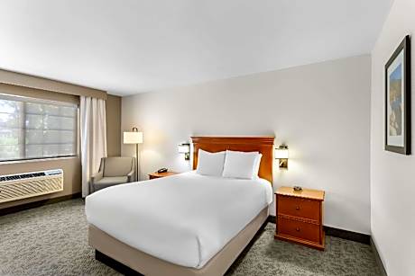 1 Queen Bed Nonsmoking