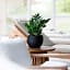 Boutiquehotel Ochsen
