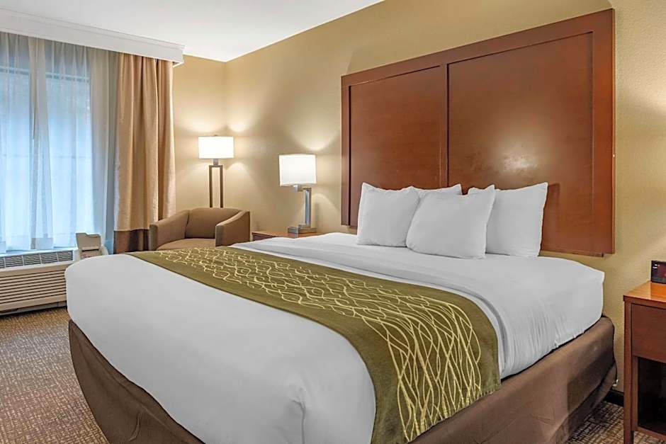 Comfort Inn & Suites Pittsburgh