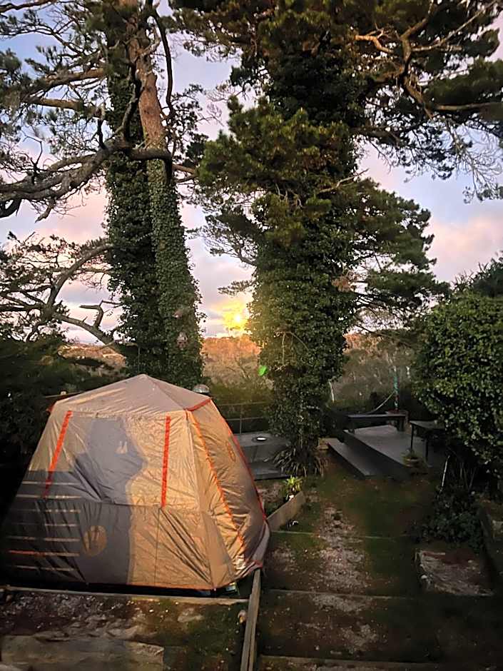Flying Fox Backpackers