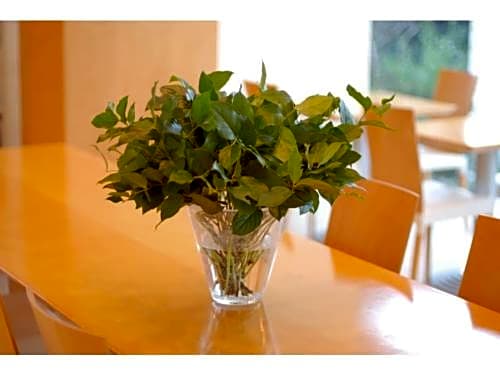 7 Days Hotel - Vacation STAY 84885