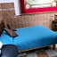 Casa Lupita Hostel
