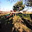 Sosnowe Zacisze Barszczewo