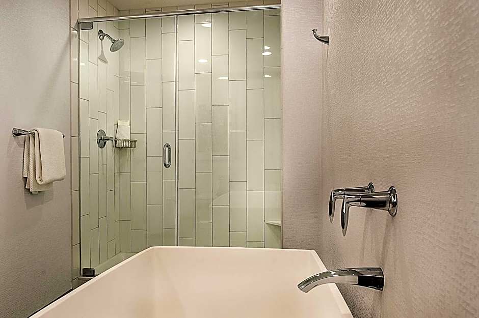 Hilton St. Louis At The Ballpark