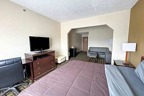 Premium King Bed with Pull Out Sofa
