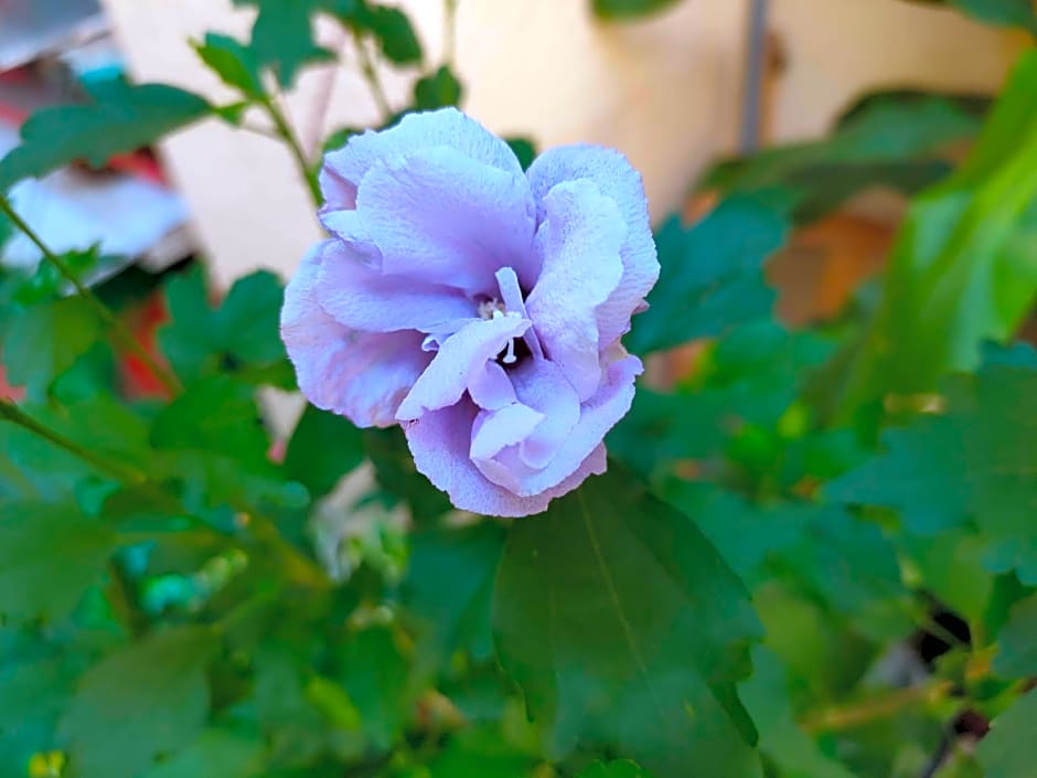 Sin Fu Business Hotel