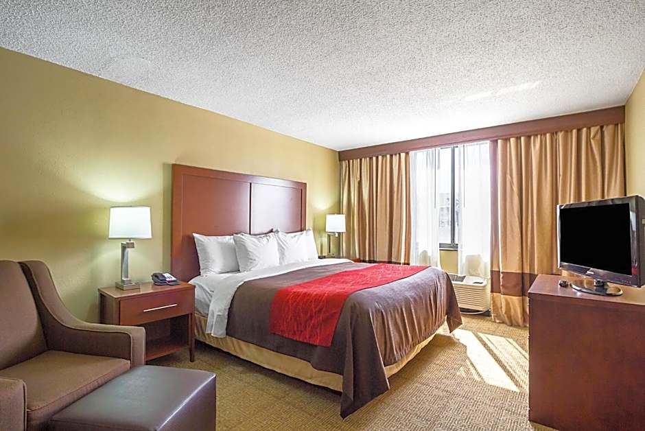 Comfort Inn Downtown
