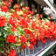 Hotel Manzoni
