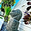 The Little Palm