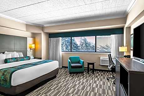 Queen Room - Non-Smoking