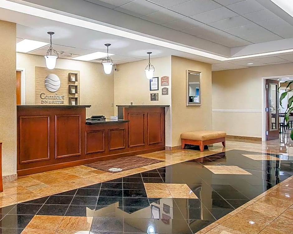 Comfort Inn & Suites Atoka - Millington