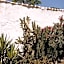 Finca Serrato