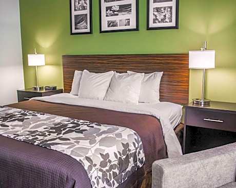 1 King Bed, Nonsmoking